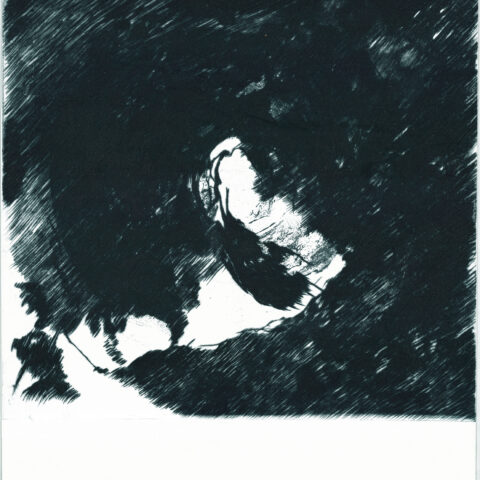 Anamorfica- Rarefazione VI, photoetching on zinc and drypoint on plexiglass drypoint on plexiglass, 35x50 cm, 2024